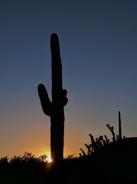 Low angle view of silhouette cactus against clear sky during sunset