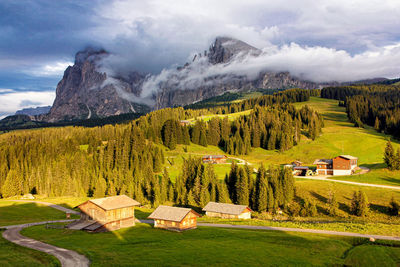 Scenic view of alpine landscape and woodland against mountains