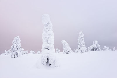 Panoramic view of snowy landscape against sky