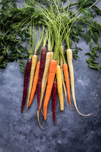 Top down view of a bunch of fresh rainbow carrots against a dark background.