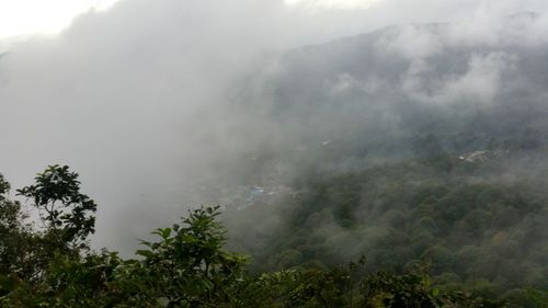 Scenic view of forest against sky during foggy weather