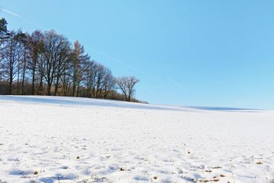 Trees on snow covered landscape against clear sky