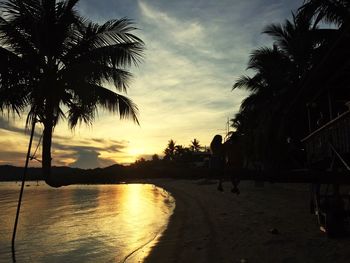 Palm trees on beach