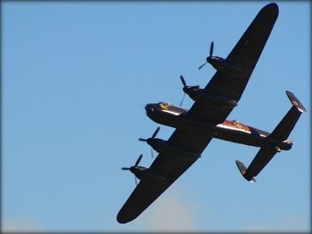 Low angle view of airplane flying in sky