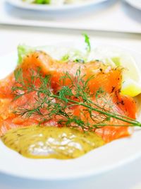 Close-up of food in plate