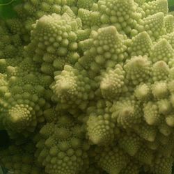 Full frame shot of green leaf