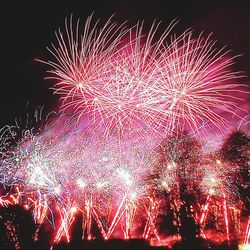 Low angle view of firework display at night