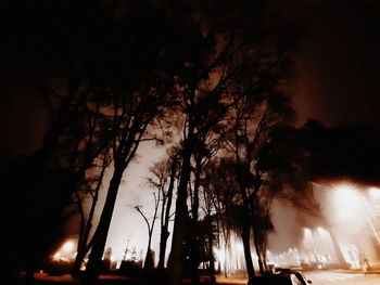 Low angle view of silhouette trees against sky at night