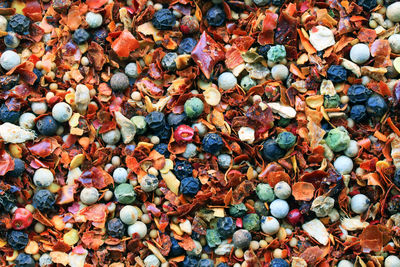 Full frame shot of multi colored pebbles