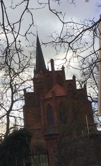 Low angle view of trees and building against sky