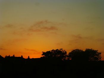 Silhouette trees against orange sky