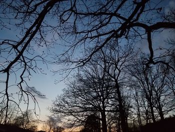 Low angle view of silhouette bare trees against sky