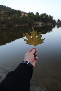 Person holding maple leaf during autumn