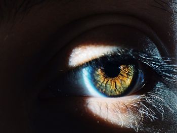 Close-up of brown human eye in darkroom