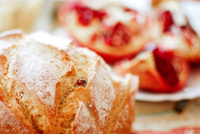 Close-up of lady bug sitting on bread