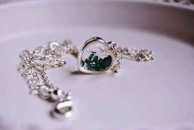 Close-up of padlocks