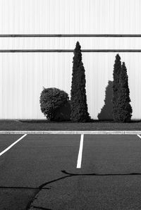 Parking spaces and trees outside a quiet factory brampton ontario.