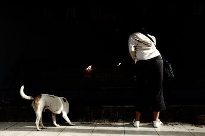 Rear view of woman with dog