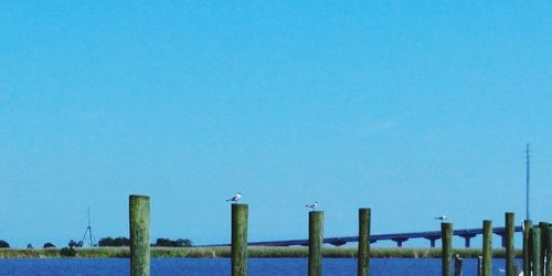 Wooden post on fence against clear blue sky