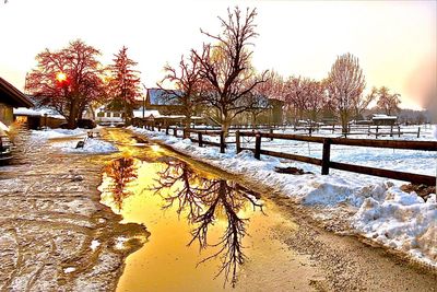 Bare trees by river against sky during winter