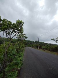 Road amidst trees against sky in city