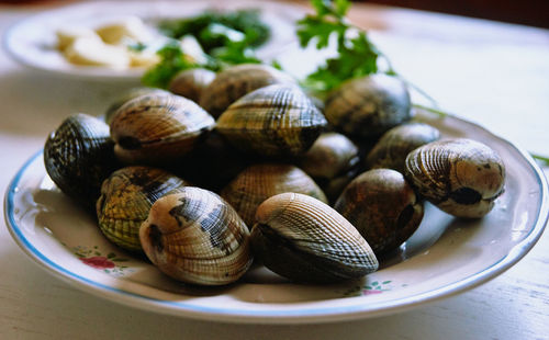 Close-up of snail on table