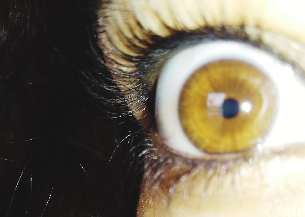 EXTREME CLOSE-UP OF EYE