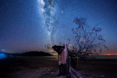 Bare trees on field against sky at night