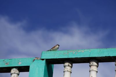 Low angle view of bird perching on railing against sky