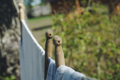 Close-up of laundry drying at backyard