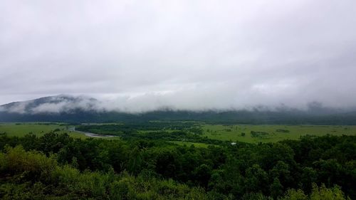 Fog after rain