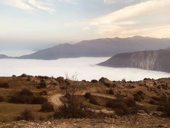 Scenic view of landscape against sky