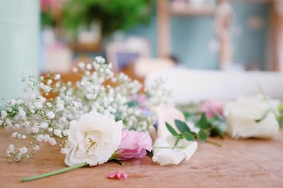 Close-up of white flowers on table