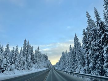 Road amidst trees against sky