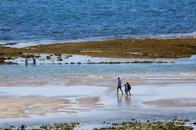 People on beach by sea