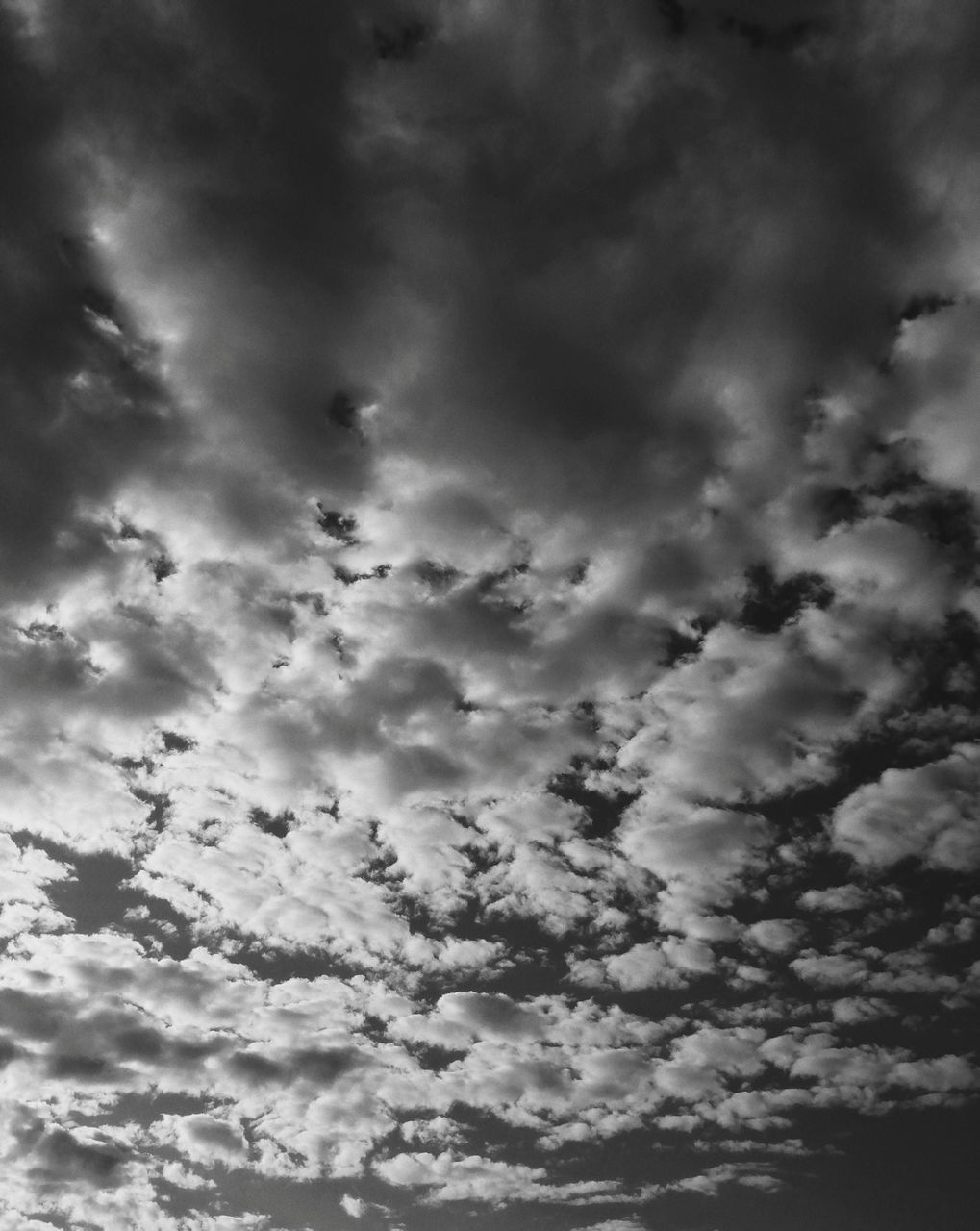 LOW ANGLE VIEW OF CLOUDS IN SKY DURING SUNSET