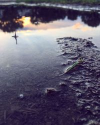 Close-up of puddle against sky