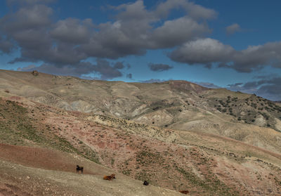 Scenic view of desert against sky