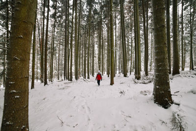 Man in snow covered forest