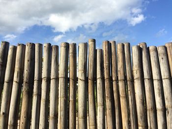 Low angle view of bamboo fence against sky