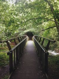 Footbridge in forest