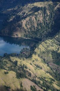 High angle view of trees on mountain