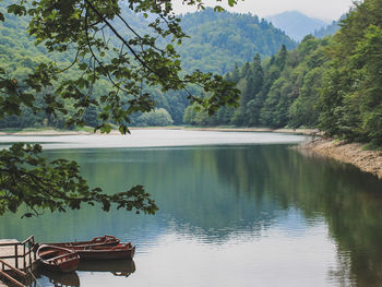 Scenic view of lake by trees against mountain