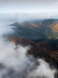 Aerial view of foggy forest at sfanta ana lake.