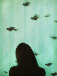 Rear view of silhouette woman standing in aquarium