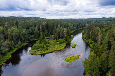 Scenic view of river amidst trees against sky