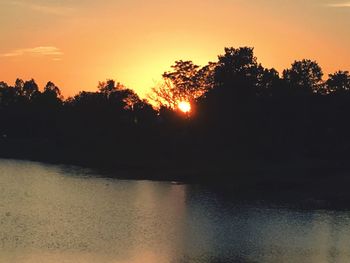 Silhouette of trees at sunset