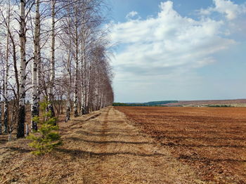 Scenic view of bare trees on field against sky