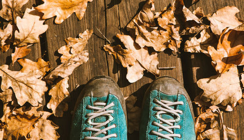 Low section of man standing on autumn leaf