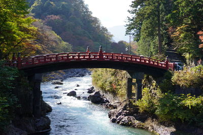 Arch bridge over river amidst trees in forest